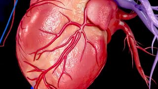 TomorrowsDiscoveries Heart Attack in a Dish  Dr Brian ORourke